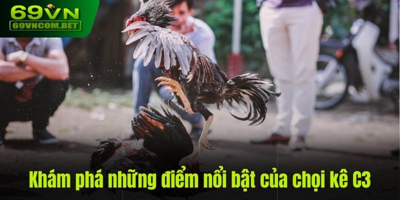 Khám phá những điểm nổi bật của chọi kê C3